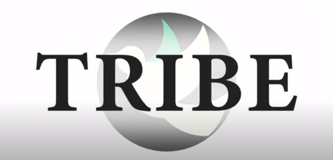 Tribe — Week Four