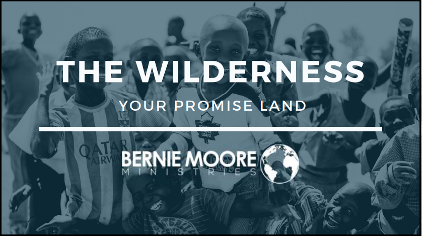 The Wilderness: Your Promise Land