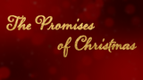 The Promise of Christmas-Week 3